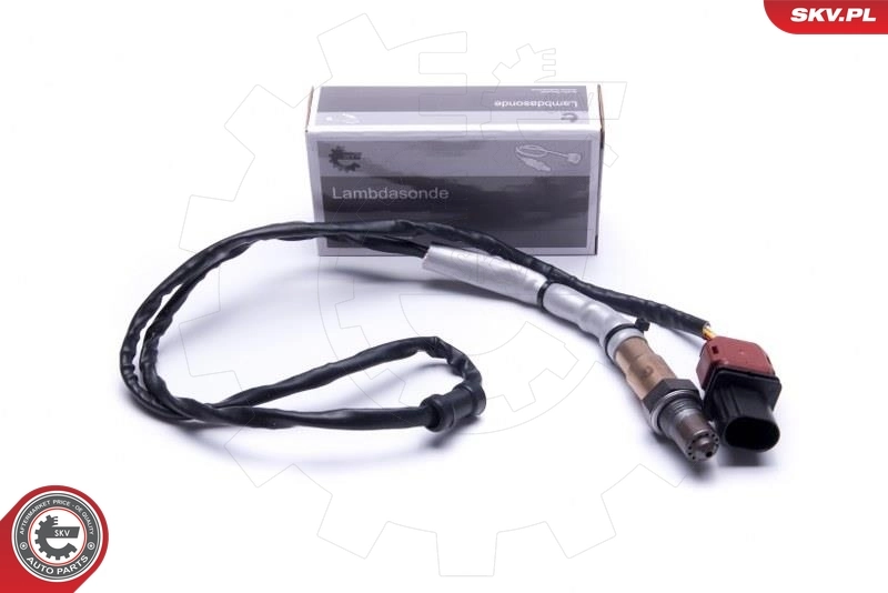 Oxygen Sensor